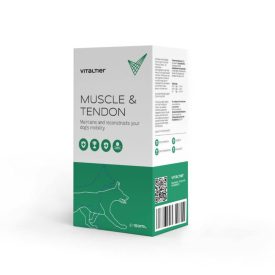 Vitaltier Muscle & Tendon