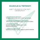 Vitaltier Muscle & Tendon