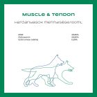 Vitaltier Muscle & Tendon
