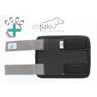 PittiPet carpalis protector