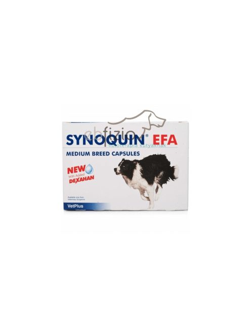 Synoquin EFA Medium Breed tabletta 30 db