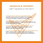Vitaltier Nerve Complex