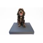 FitPAWS Balance Pad Grip Cover - egyensúlyozó párna védőhuzat 