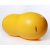 FitPAWS Peanut Yellow , 70 cm