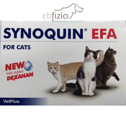 Synoquin EFA Cat