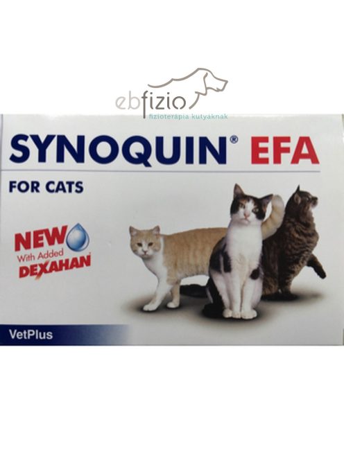 Synoquin EFA Cat