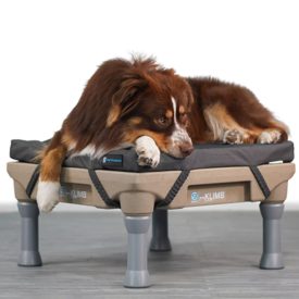 RESTORE kutyafekhely