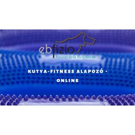 Online kutya-fitness alapozó