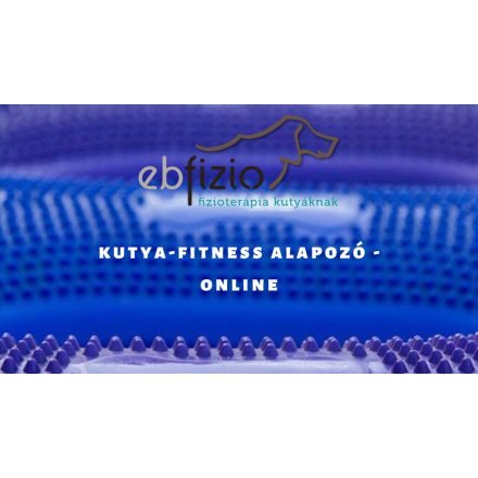 Online kutya-fitness alapozó