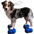 Fitpaws K9 Mini Fitbone