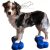 Fitpaws K9 Mini Fitbone