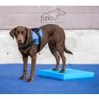 FitPaws Balance Pad