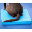 FitPaws Balance Pad