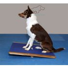 FitPaws Giant Rocker Board