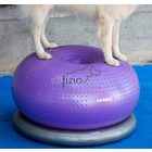 FitPaws TRAX Donut Holder