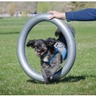 FitPaws TRAX Donut Holder