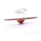 FitPaws Wobble Board 50