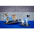 FitPaws Wobble Board 50