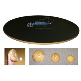 FitPaws Wobble Board 90