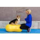 FitPaws TRAX Peanut 40 cm