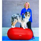 FitPaws TRAX Peanut 50 cm