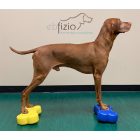 Fitpaws K9 Mini Fitbone