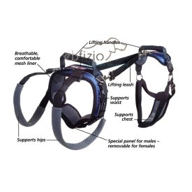   Rehabilitációs hám- elülső és hátulsó testrész segítésére