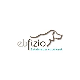 Szolgáltatások, rehabilitációs eszköz bérlés