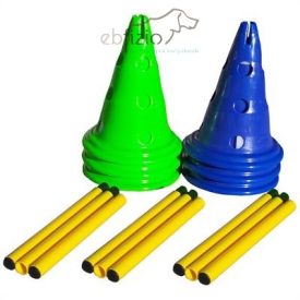 Canine Gym Dog Agility