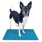 FitPaws K9 FitMat