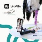 WIMBA ortézis mintavételi szett