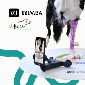 WIMBA ortézis mintavételi szett